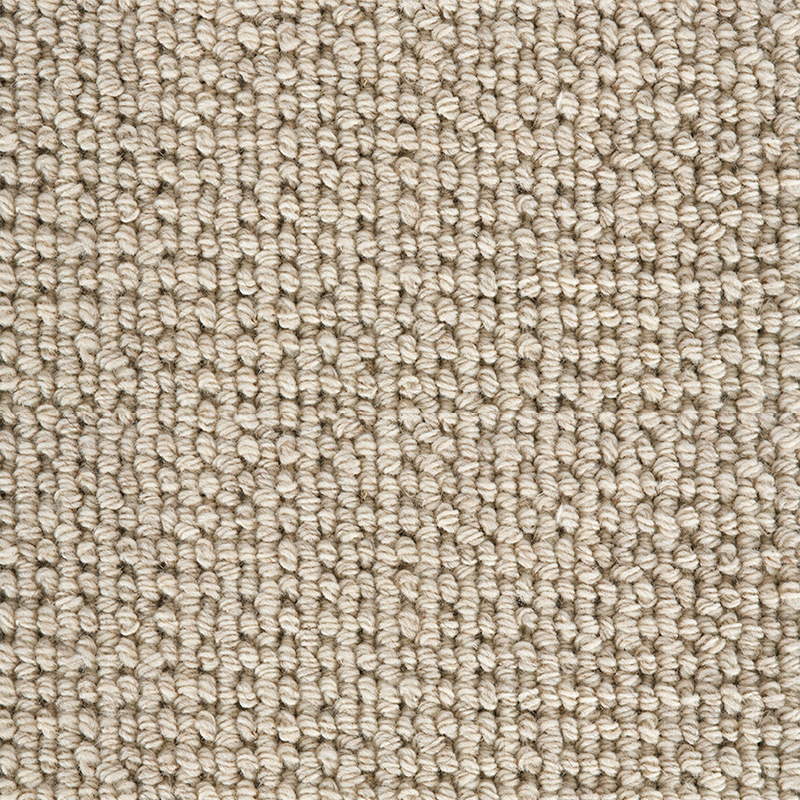 Crucial Trading Enchanted Soft Sands Wool Loop Pile Carpet WE101